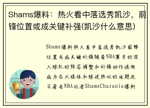 Shams爆料：热火看中落选秀凯沙，前锋位置或成关键补强(凯沙什么意思)