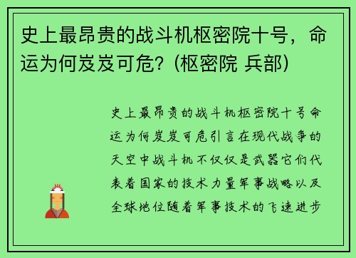 史上最昂贵的战斗机枢密院十号，命运为何岌岌可危？(枢密院 兵部)