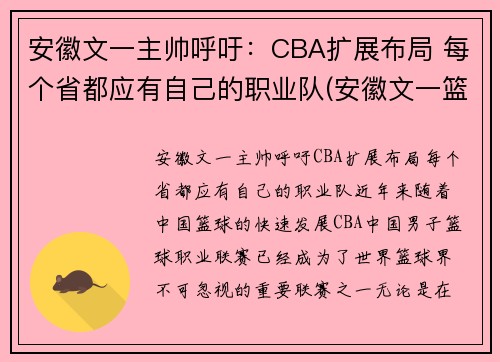 安徽文一主帅呼吁：CBA扩展布局 每个省都应有自己的职业队(安徽文一篮球队队员)