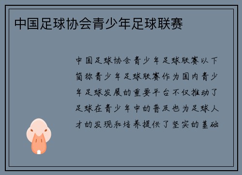 中国足球协会青少年足球联赛