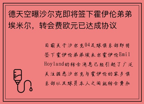 德天空曝沙尔克即将签下霍伊伦弟弟埃米尔，转会费欧元已达成协议